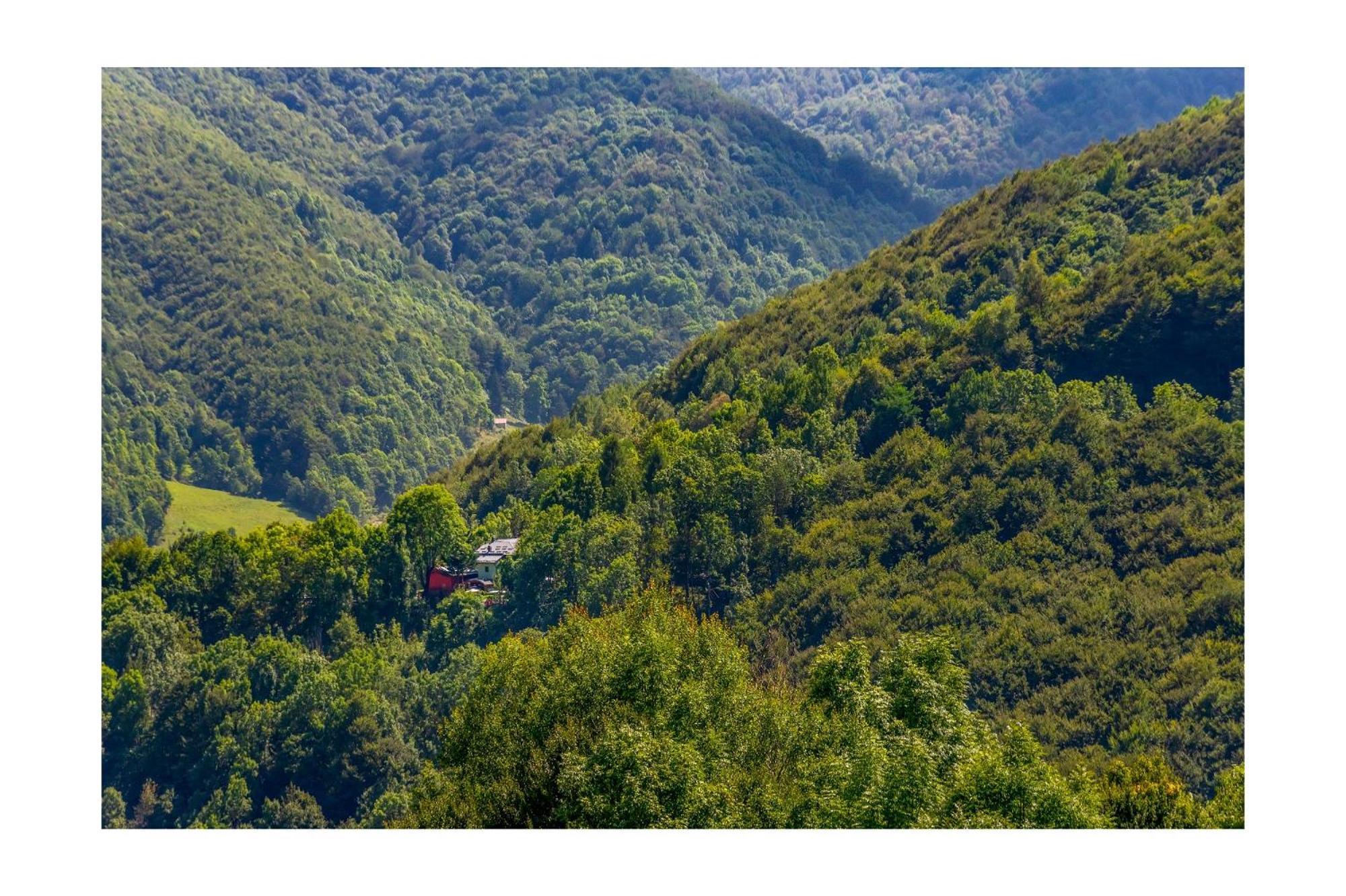 Chalet Bragard Limone Piemonte Εξωτερικό φωτογραφία