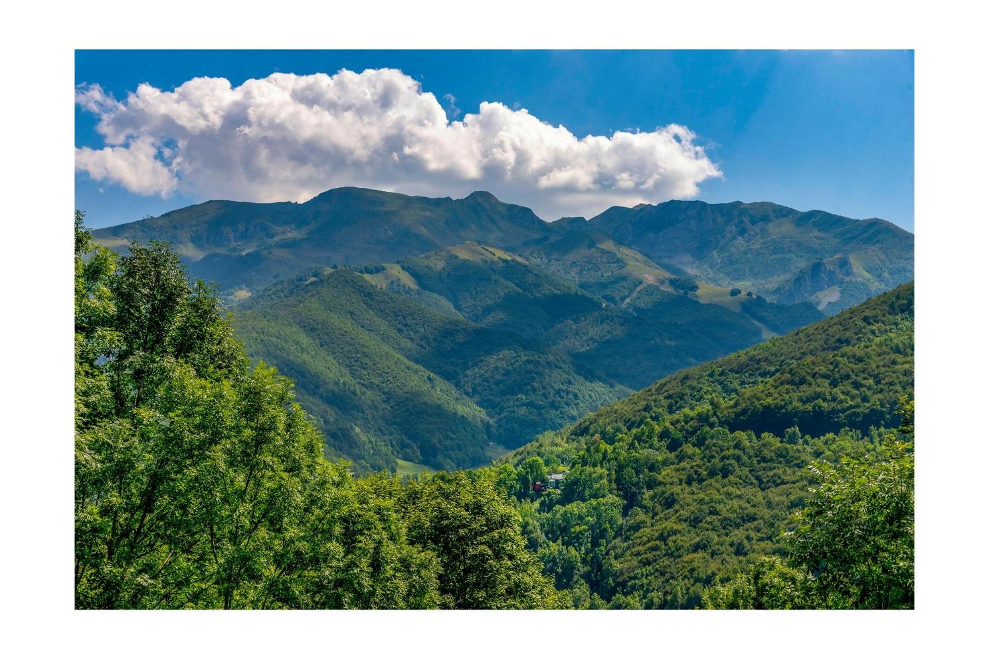 Chalet Bragard Limone Piemonte Εξωτερικό φωτογραφία