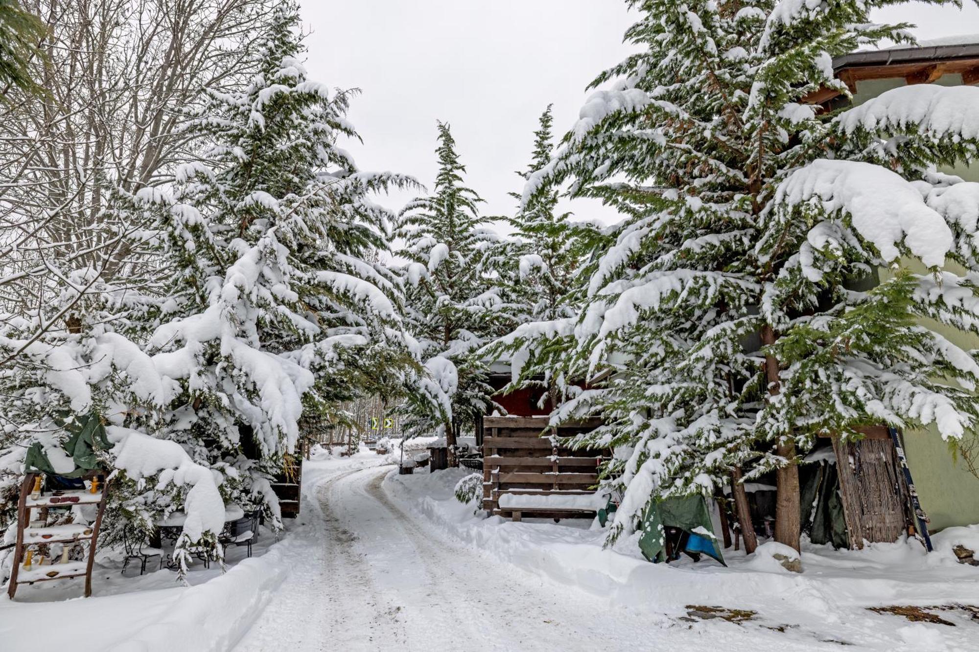 Chalet Bragard Limone Piemonte Εξωτερικό φωτογραφία
